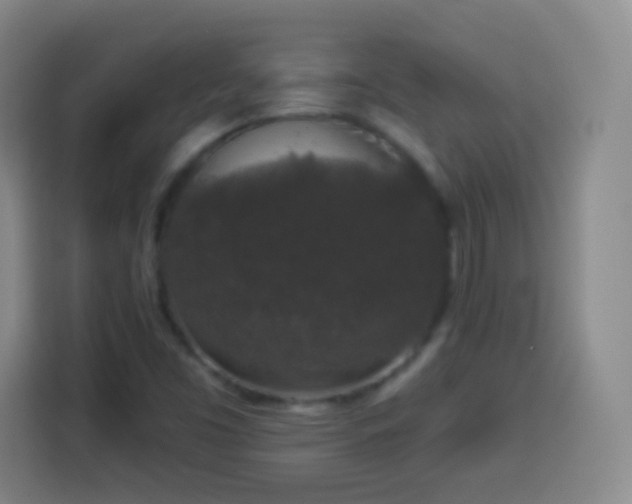 X0000113941453200910021253