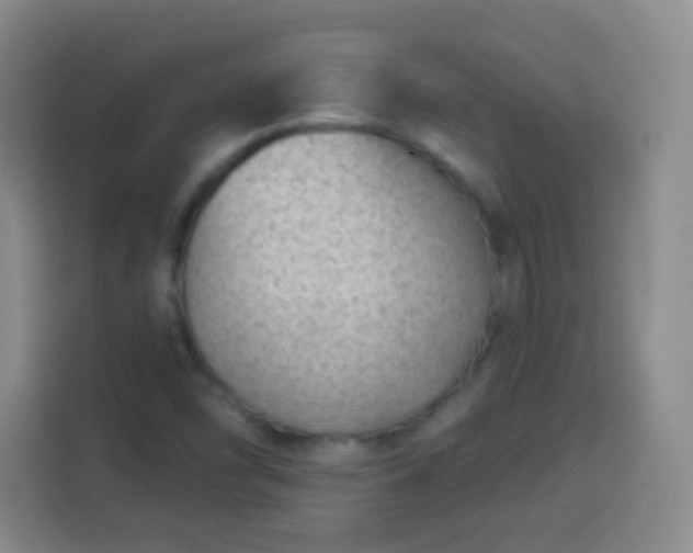 X0000113941454200910021253