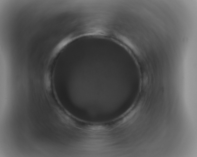 X0000113941455200910021253