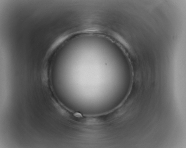 X0000113941456200910021253