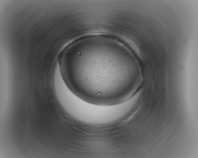 X0000113941457200910021253