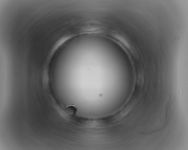 X0000113941458200910021253