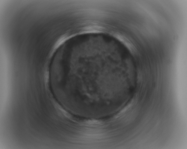 X0000113941459200910021252