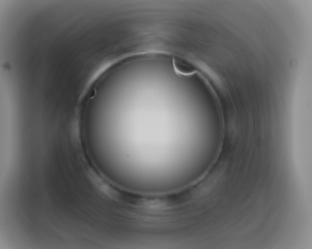 X0000113941460200910021252