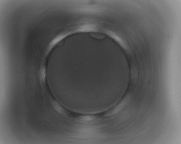 X0000113941461200910021252