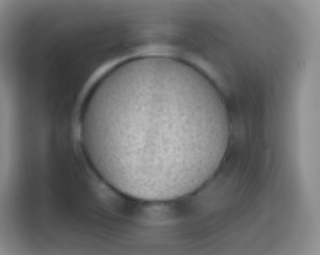 X0000113941462200910021252