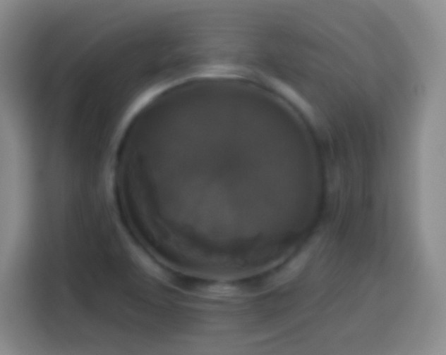 X0000113941463200910021252