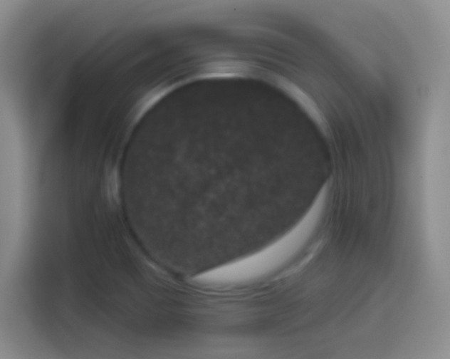 X0000113941465200910021252