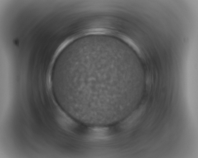 X0000113941466200910021252