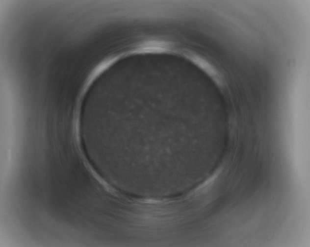 X0000113941469200910021252