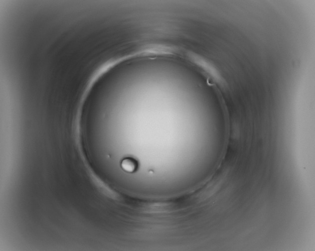 X0000113941471200910021252