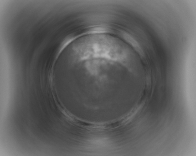 X0000113941473200910021252