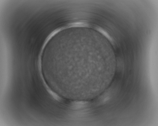 X0000113941474200910021252