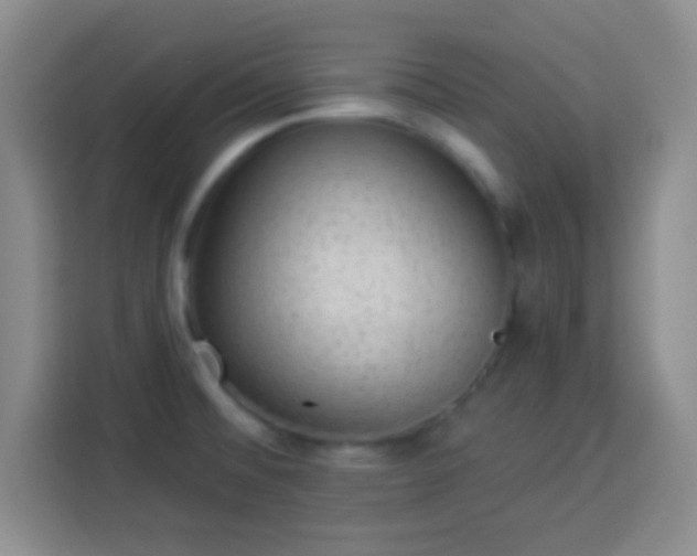 X0000113941476200910021252