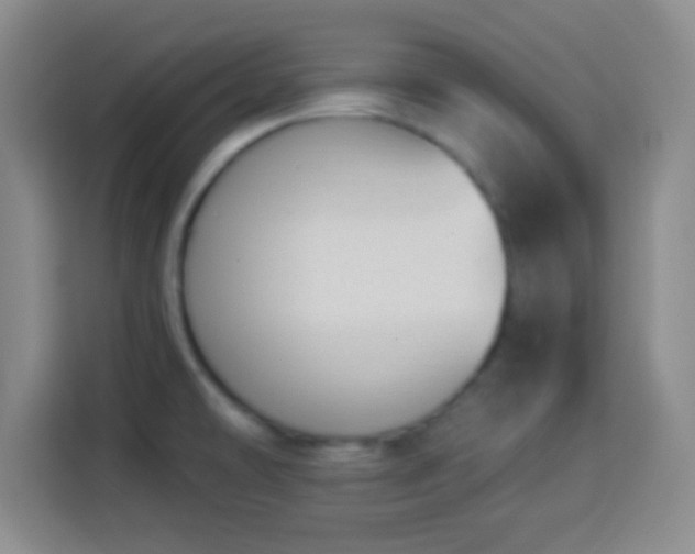 X0000113941478200910021252