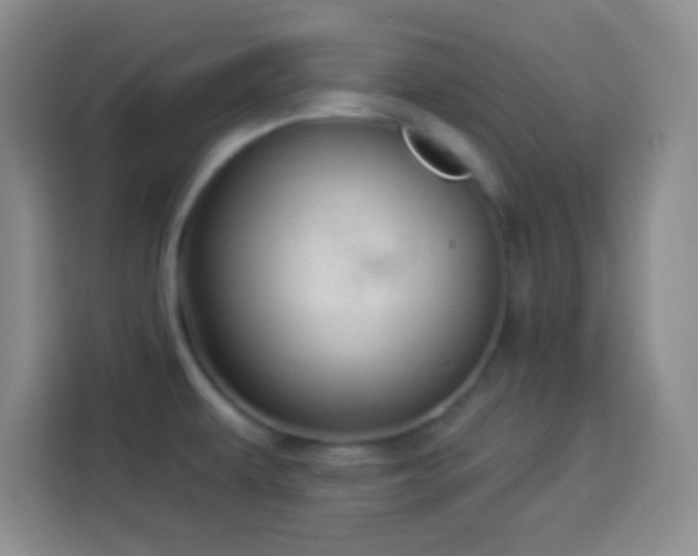 X0000113941479200910021252