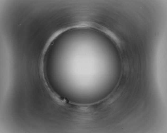 X0000113941480200910021252