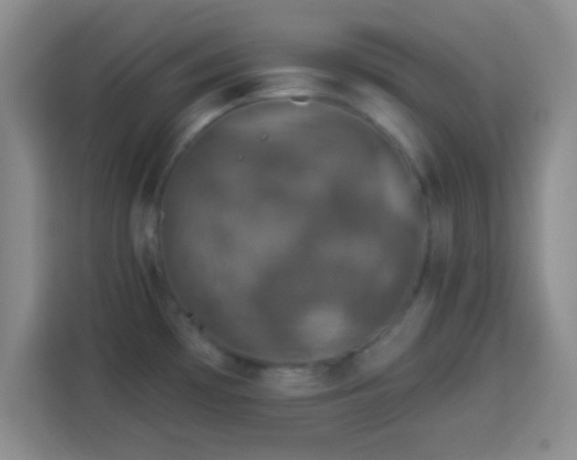 X0000113941481200910021252