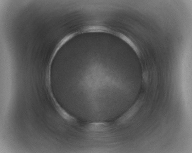 X0000113941482200910021252