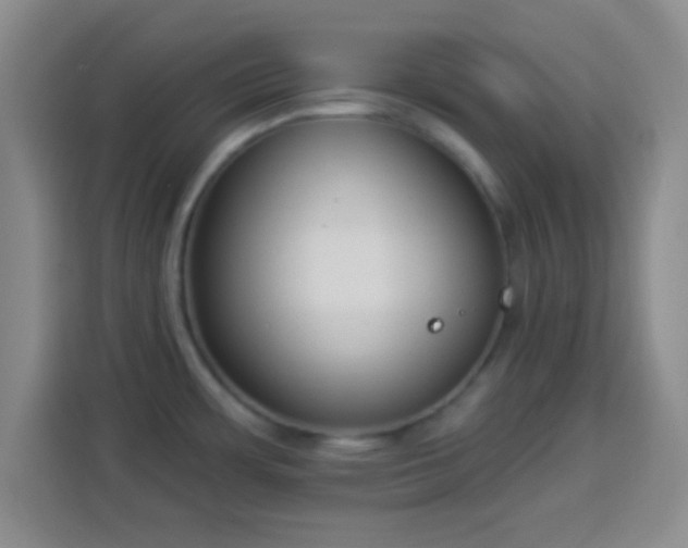 X0000113941483200910021252