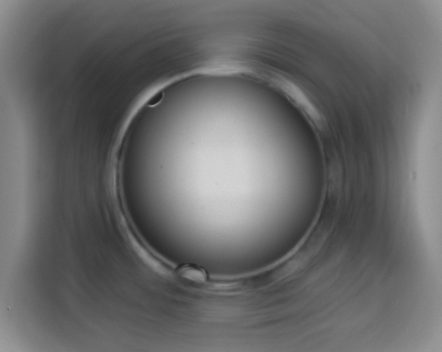 X0000113941484200910021252