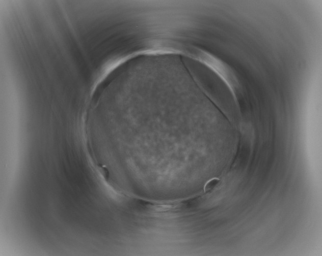 X0000113941485200910021252