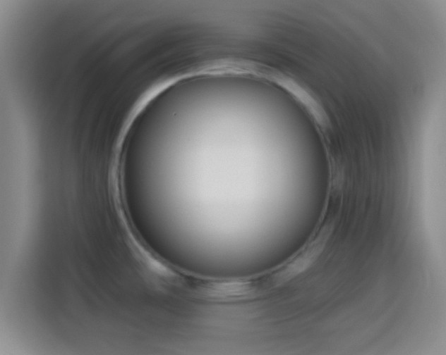 X0000113941486200910021252