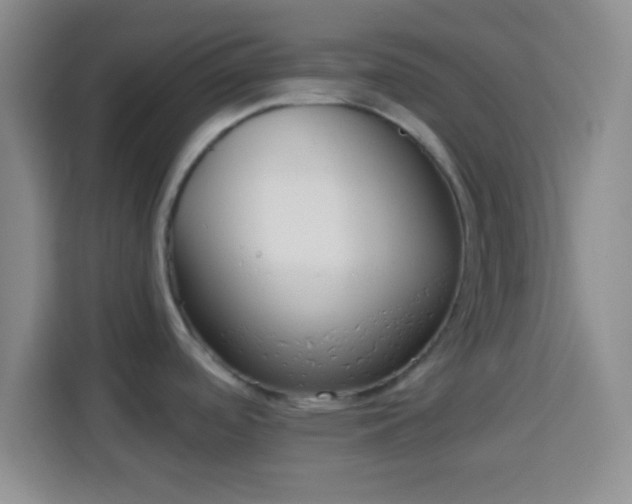 X0000113941488200910021252