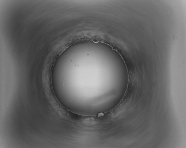 X0000113941489200910021251