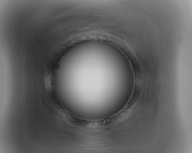 X0000113941490200910021252