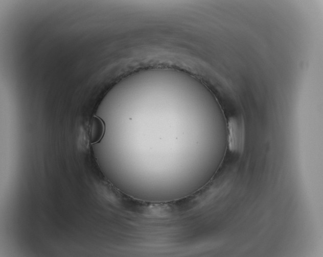 X0000113941491200910021252