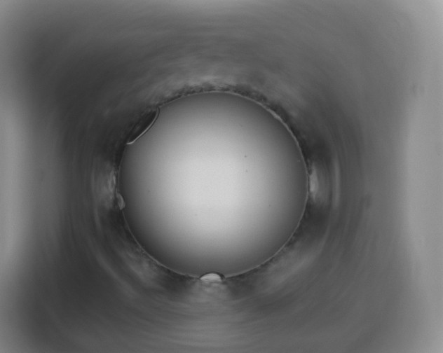 X0000113941492200910021252