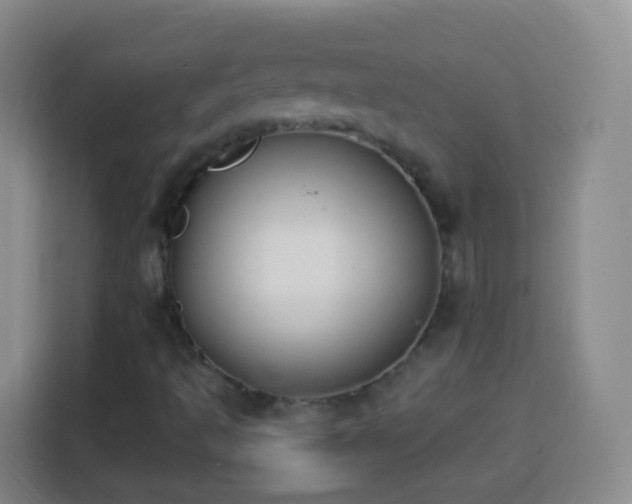 X0000113941493200910021252