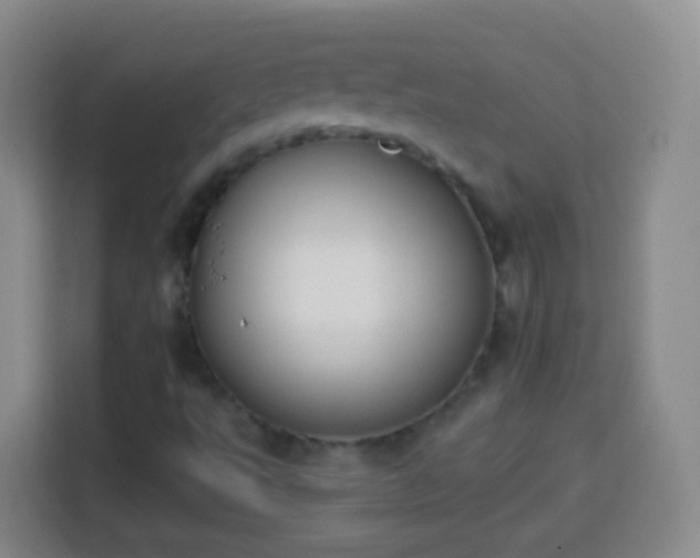 X0000113941495200910021252