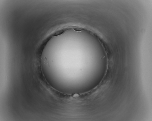 X0000113941496200910021252