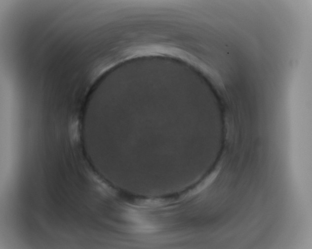 X0000113941497200910021252