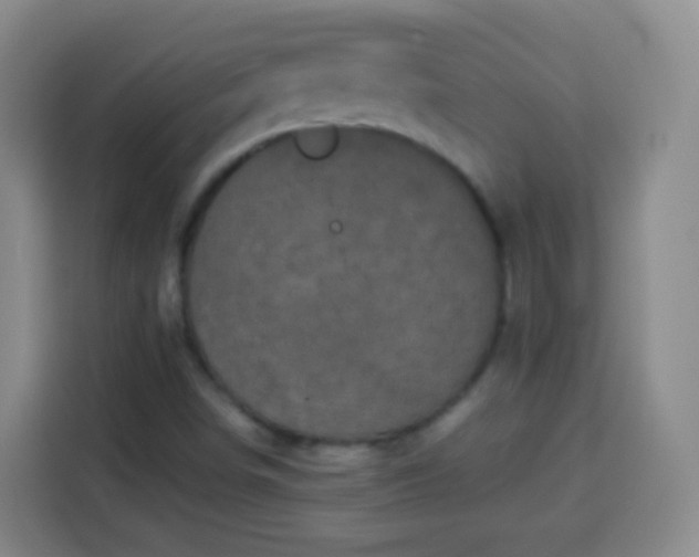 X0000113941498200910021252