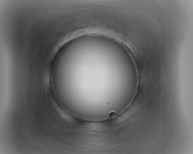 X0000113941499200910021252