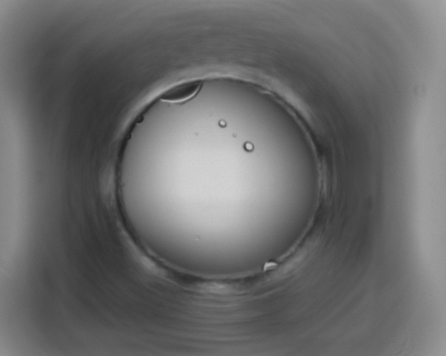 X0000113941500200910021252