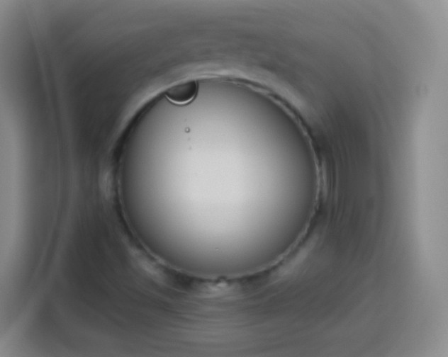 X0000113941501200910021252