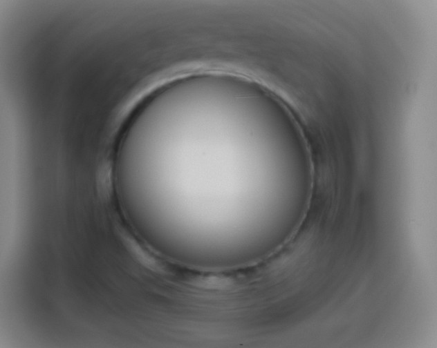 X0000113941503200910021252