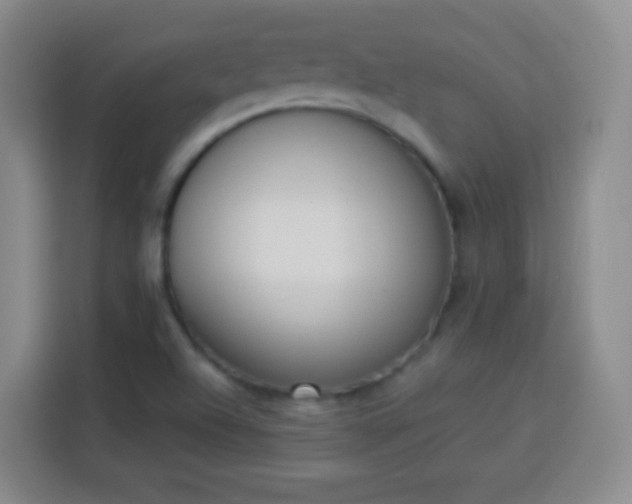 X0000113941504200910021252