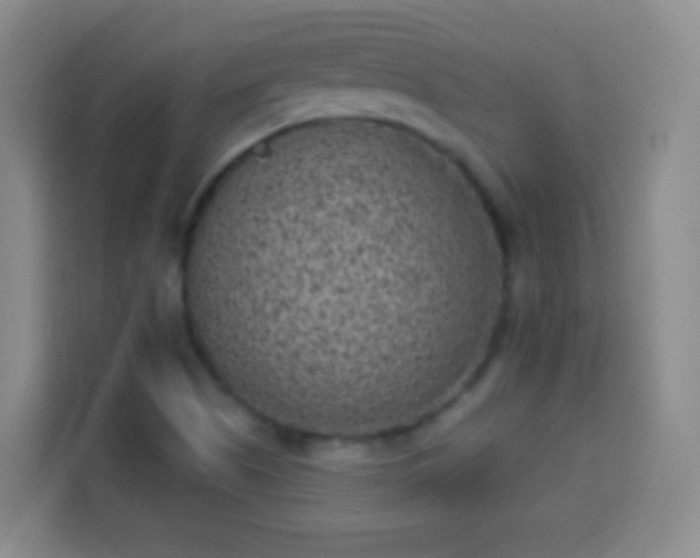 X0000113941505200910021252