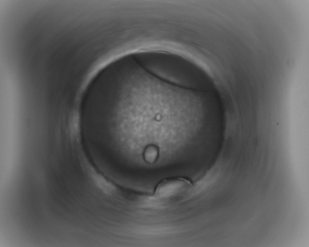 X0000113941506200910021252