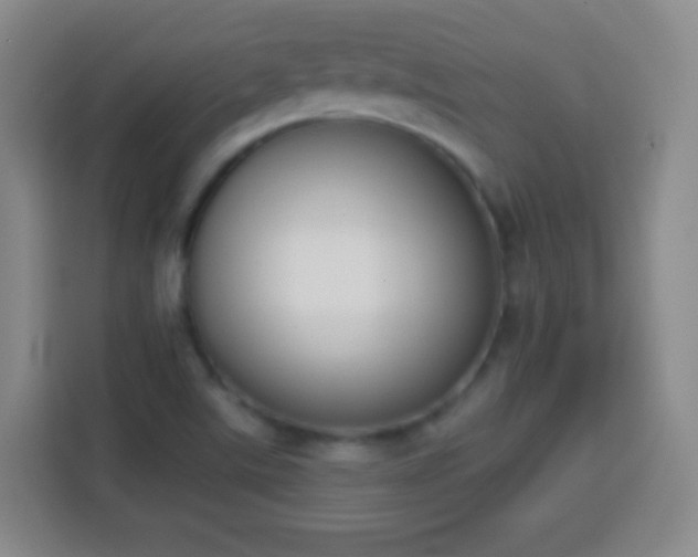 X0000113941507200910021252