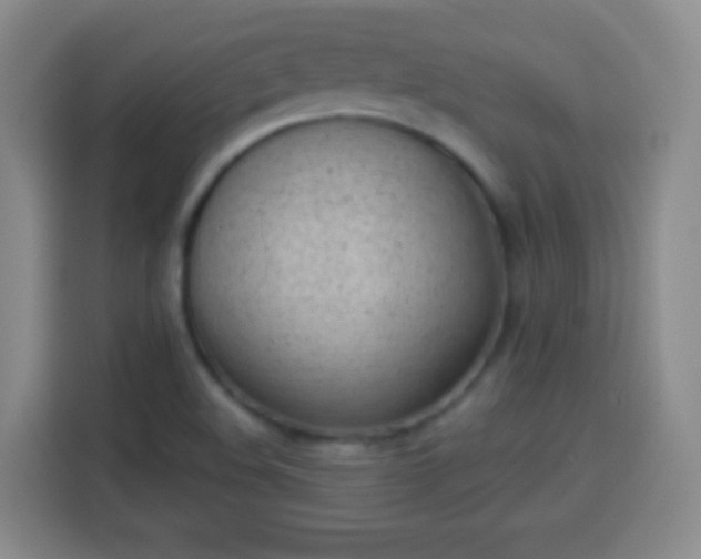 X0000113941508200910021252