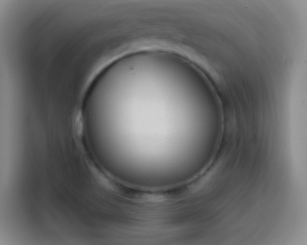 X0000113941509200910021252