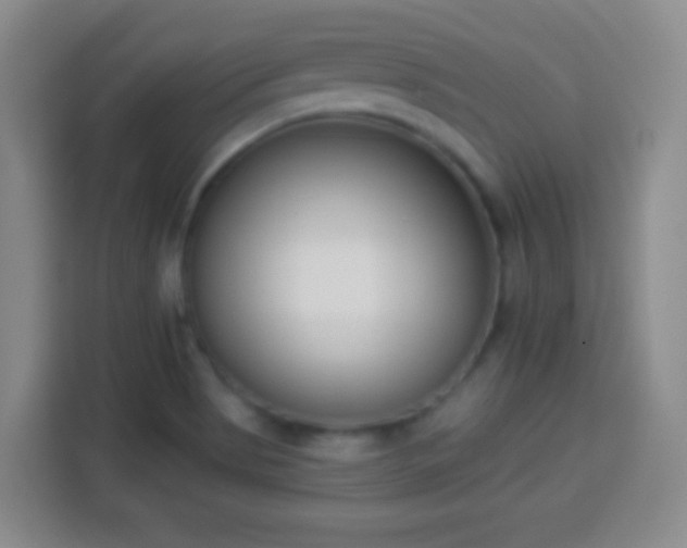 X0000113941513200910021252