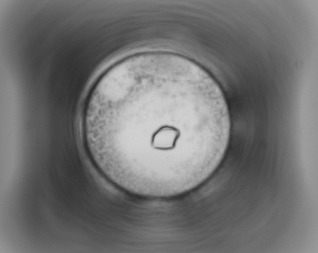 X0000113941514200910021252