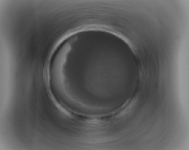 X0000113941515200910021252